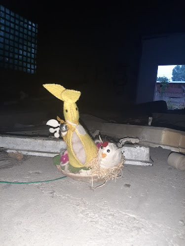 Węglokoks. Skład opału