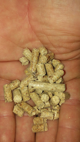 Drewno opał pellet brykiet węgiel ekogroszek