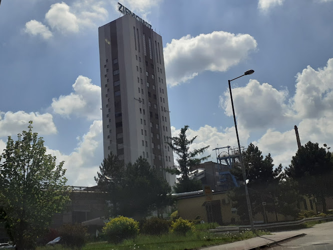 Kopalnia Węgla Kamiennego Ziemowit