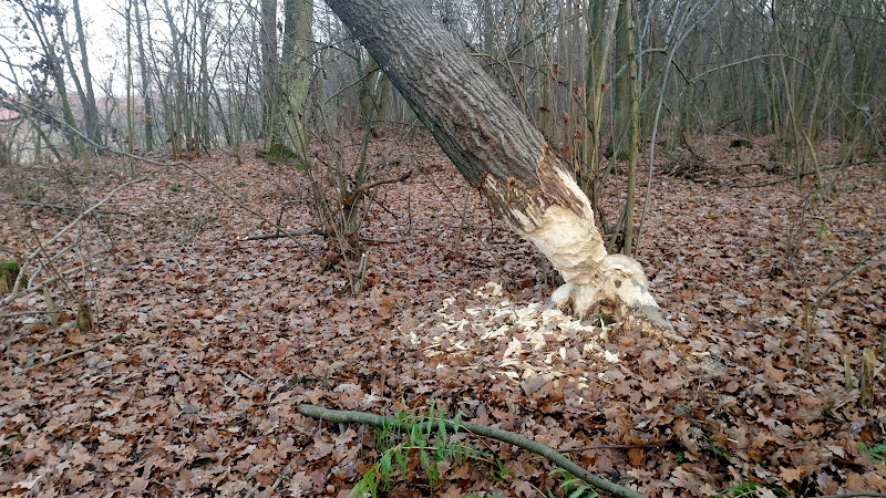 Ekoklinkier. Lubelski Węgiel Bogdanka S.A.