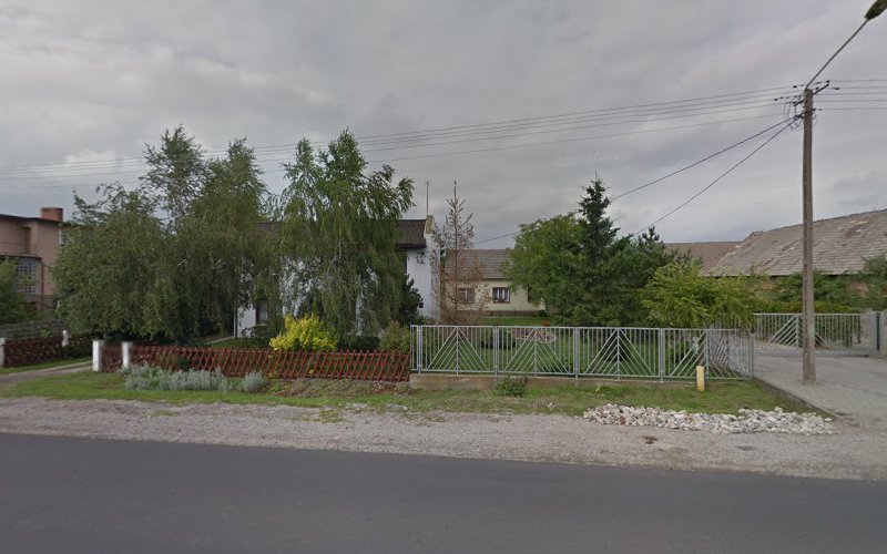 WĘGIEL EKOGROSZEK DREWNO