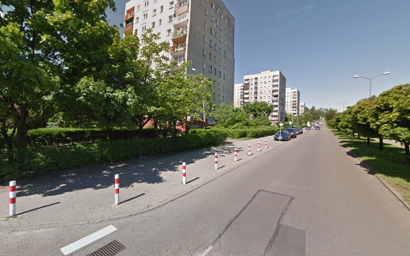 Bowis. FHU. Dziewulski M.