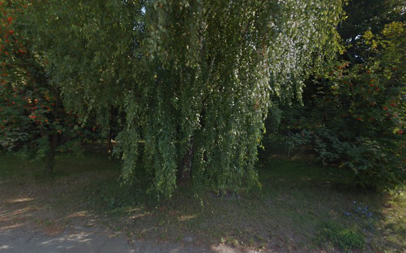 Skład opału Zakładu Energetyki Cieplnej Sp. z o.o.