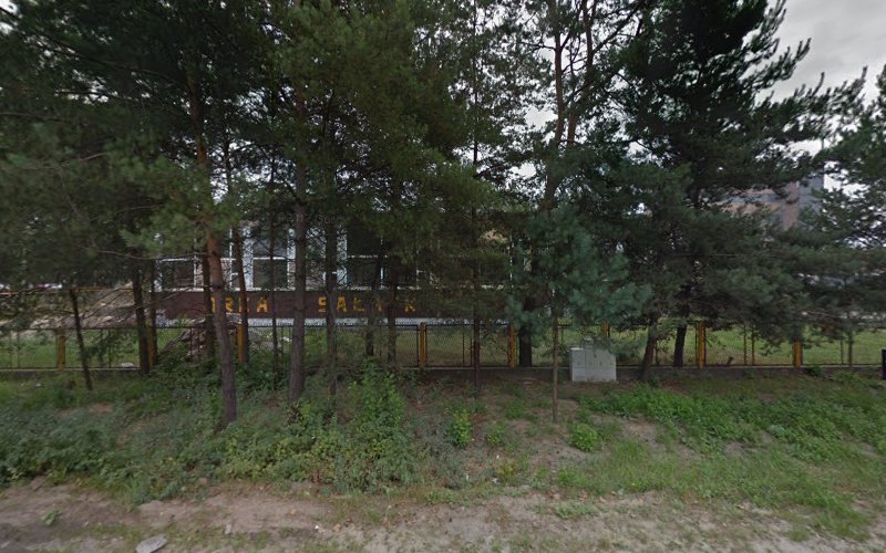 Stasiura Robert. ZHU. Skład węgla