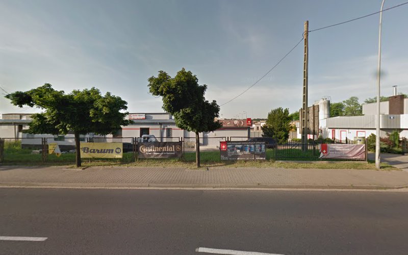 WĘGIEL Polski