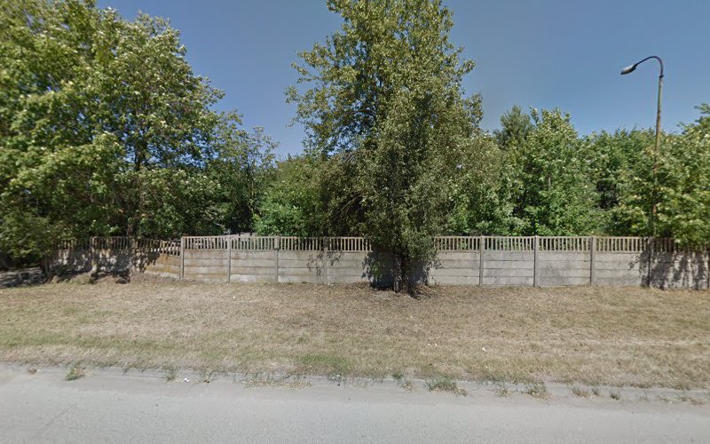 transwęgiel